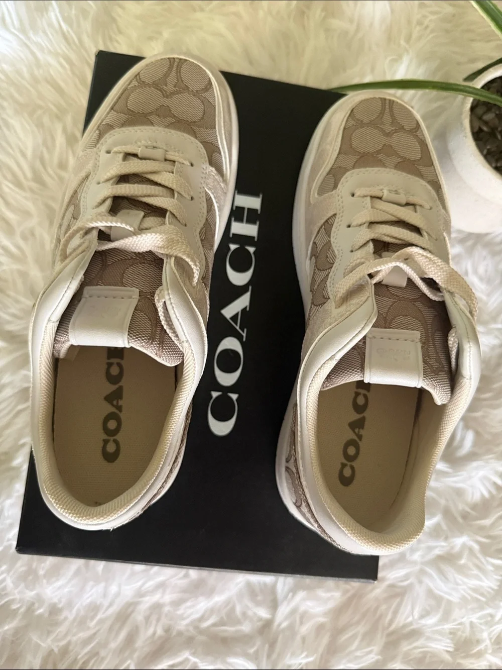 Coach Kids Logo-Print Sneakers in Beige and Cream